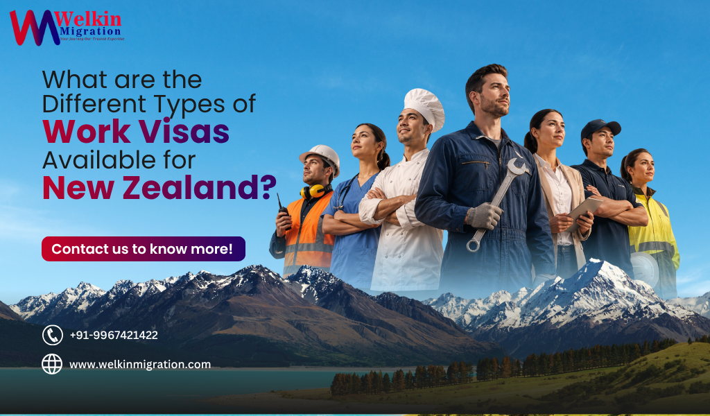 What Are the Main Skilled Work Visa Options for New Zealand?
