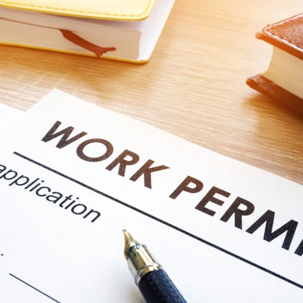 Work Permit / Job Offer