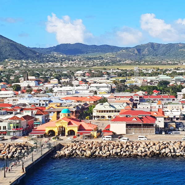 St Kitts Citizenship Consultant